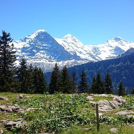 ホテルBerghaus Hintisberg Lütschenthal エクステリア 写真