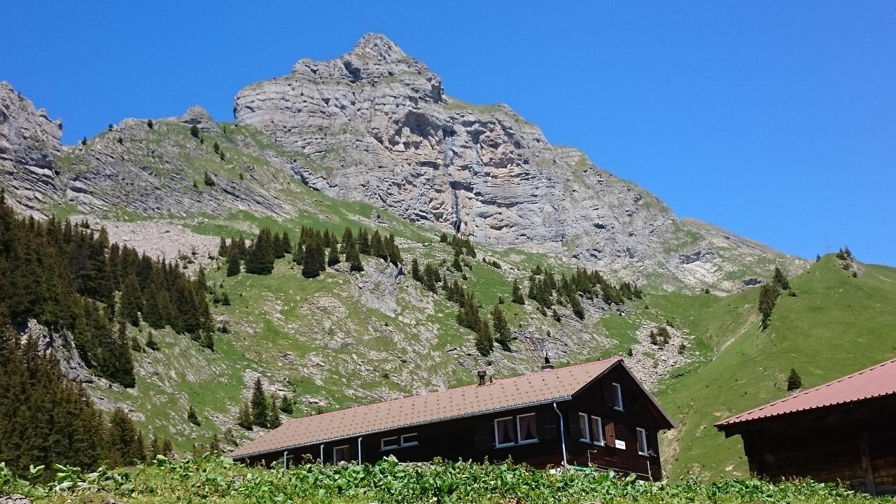 ホテルBerghaus Hintisberg Lütschenthal エクステリア 写真